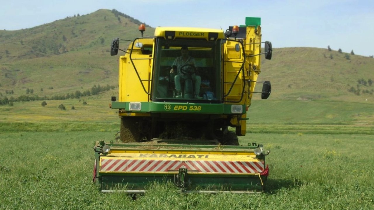 Gaziantep'te Yeşil Altın'ın Hasadı Başladı! Altından daha çok kazandırıyor