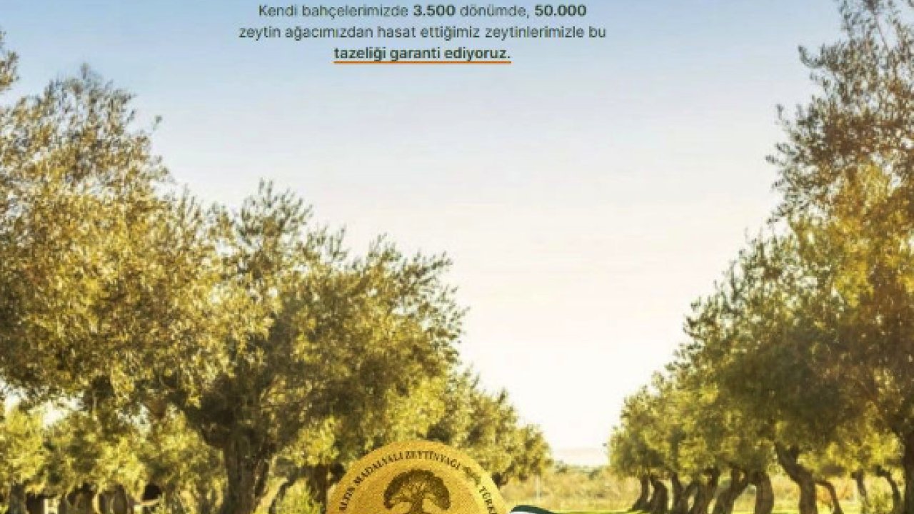 Ödüllü Zeytinyağı: Kalite ve Lezzet Rehberi