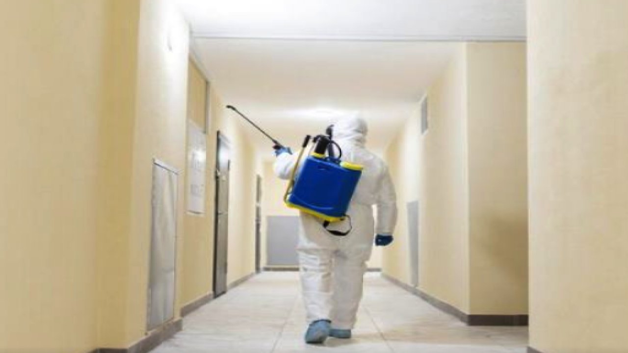 İzmir Böcek İlaçlama