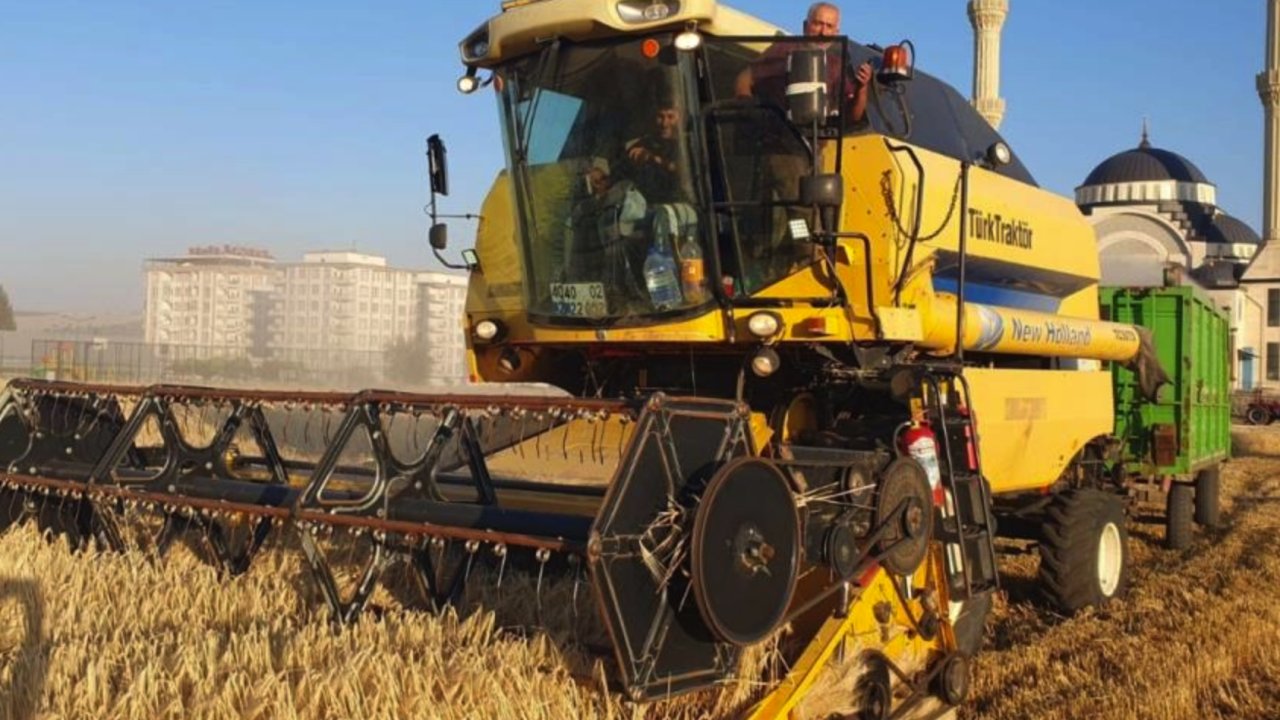 GAZİANTEP'TE BUĞDAY HASADI ZAMANI! Gaziantep'te Buğday ve Arpa Fiyatları AÇIKLANDI!