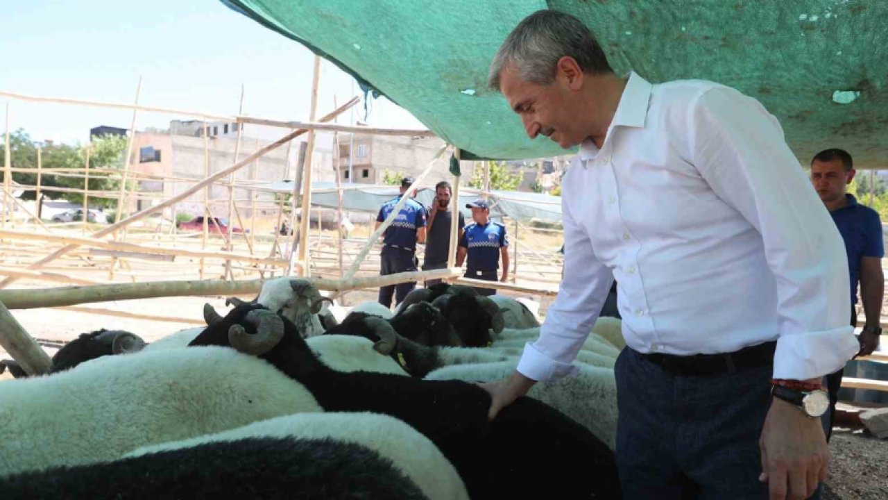 Tahmazoğlu düşük fiyata kurban satışını başlattı!