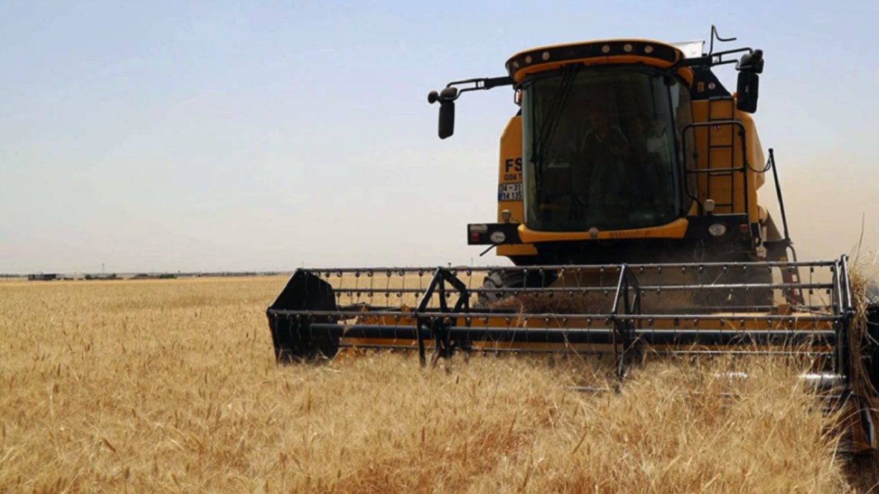 Gaziantep'te ÇİFTÇİ'NİN BUĞFAY FİYATI İSYANI: 'Böyle devam Ederse Ekemeyiz!'