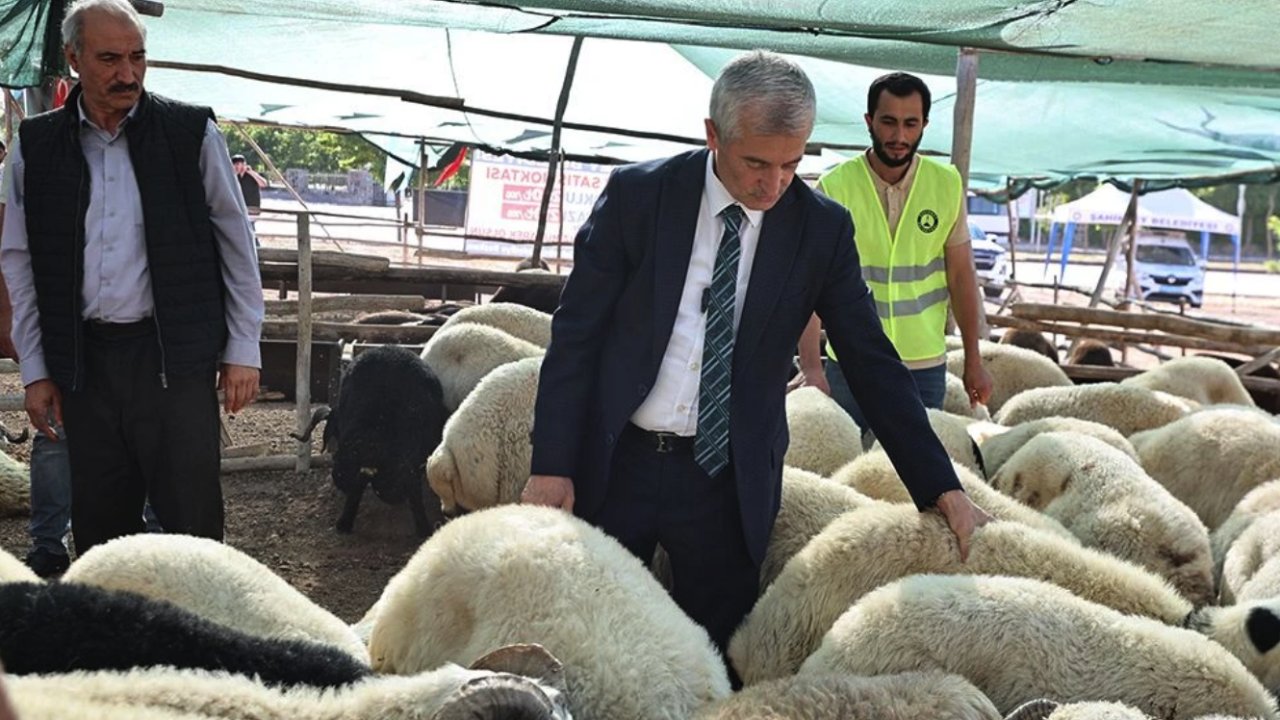 Tahmazoğlu'nun KURBANLIKLARI YOK SATIYOR!