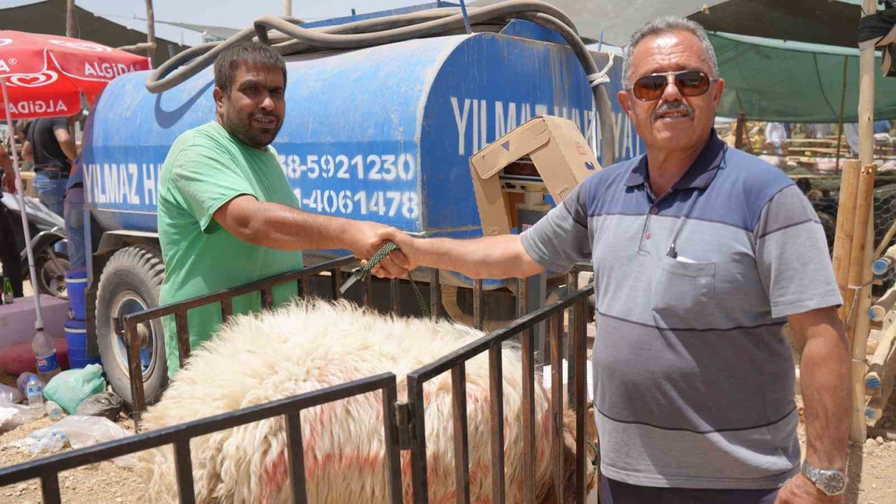Gaziantep'te Kurban Fiyatlarına Tahmazoğlu DARBESİ! En Yükseği 220 TL