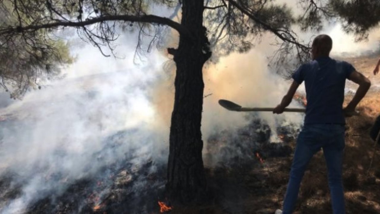 Gaziantep'te ORMANLARI KİM YAKIYOR?