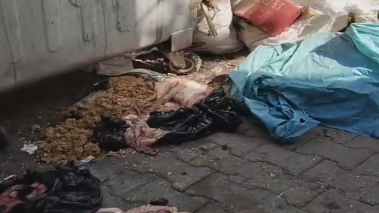 Gaziantep'ten Pis Kokular Yükseliyor! VATANDAŞLAR ŞİKAYETÇİ