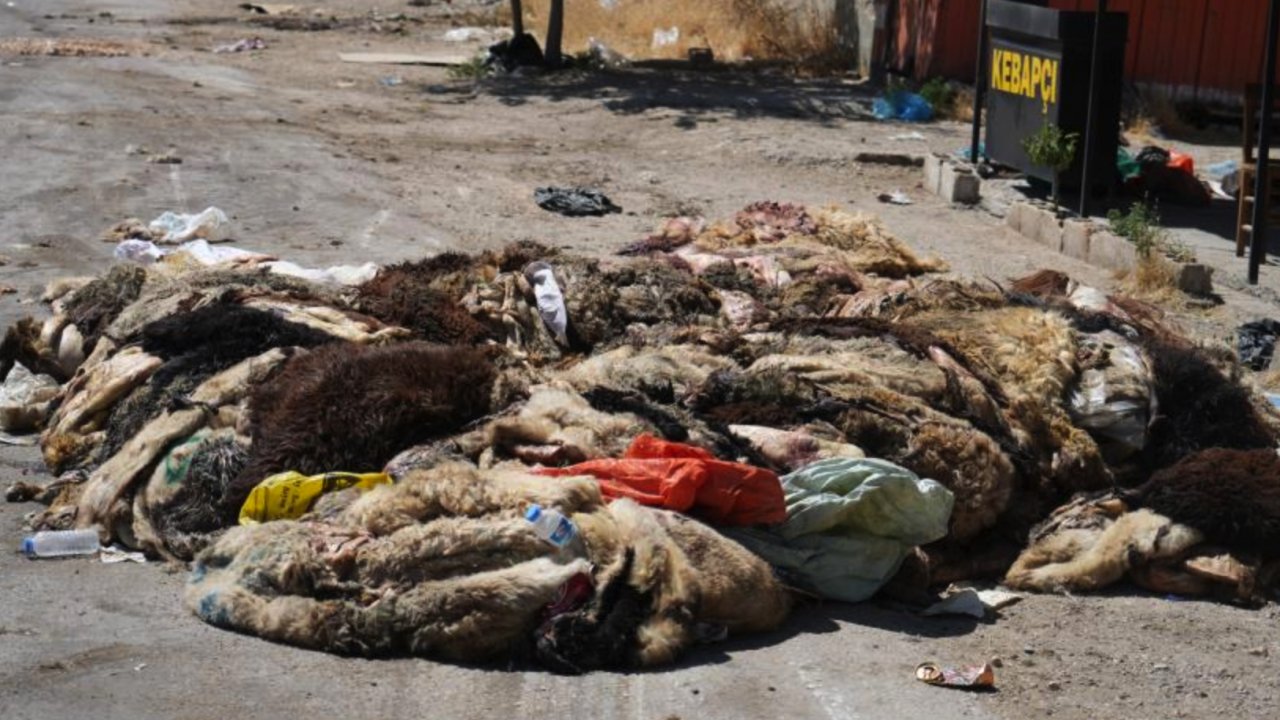 Umut YILMAZ BUNA NE YAPSIN? Gaziantep’te mide bulandıran görüntüler