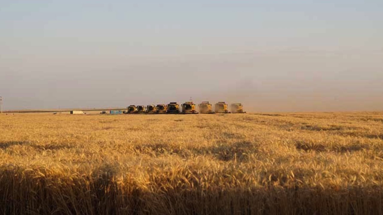 Gaziantep'in Komşu İli Kilis’te çiftçilerin çifte bayramı! ‘‘150 bin dekar alanda hasat devam ediyor’’