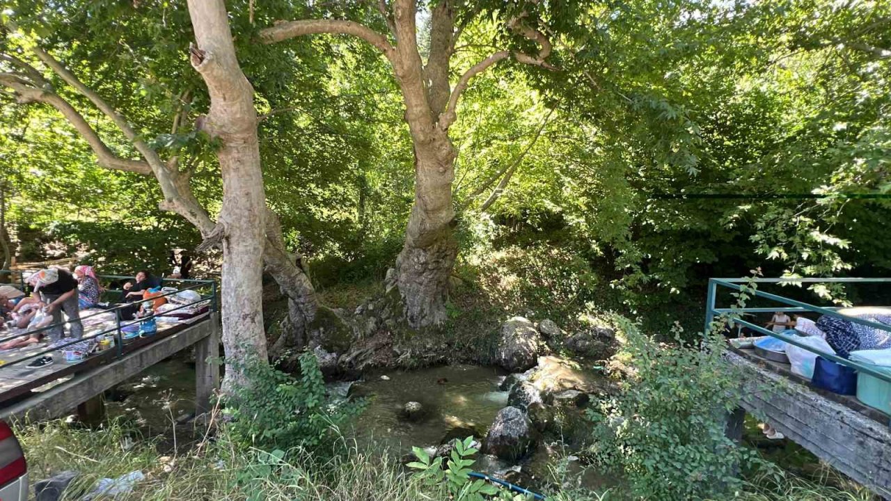 Gaziantep, Adana, Osmaniye Buraya Akın Etti!