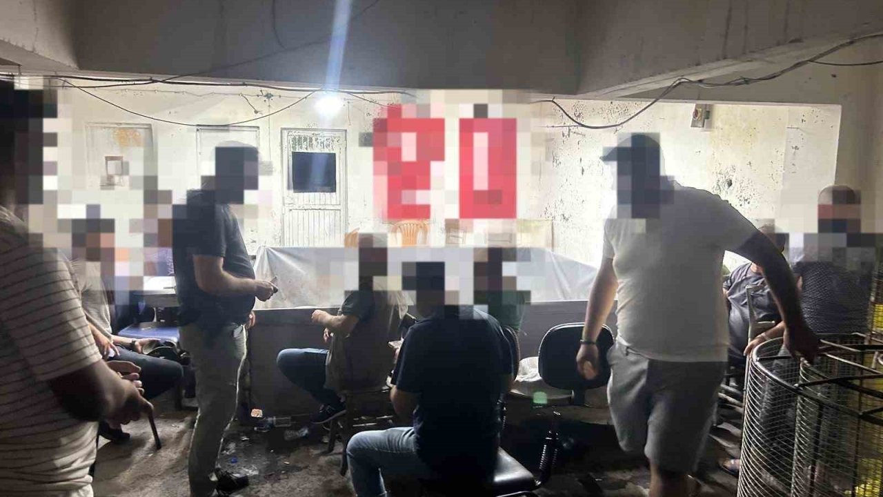 Gaziantep’te horoz dövüştüren 15 şahsa 96 bin TL ceza