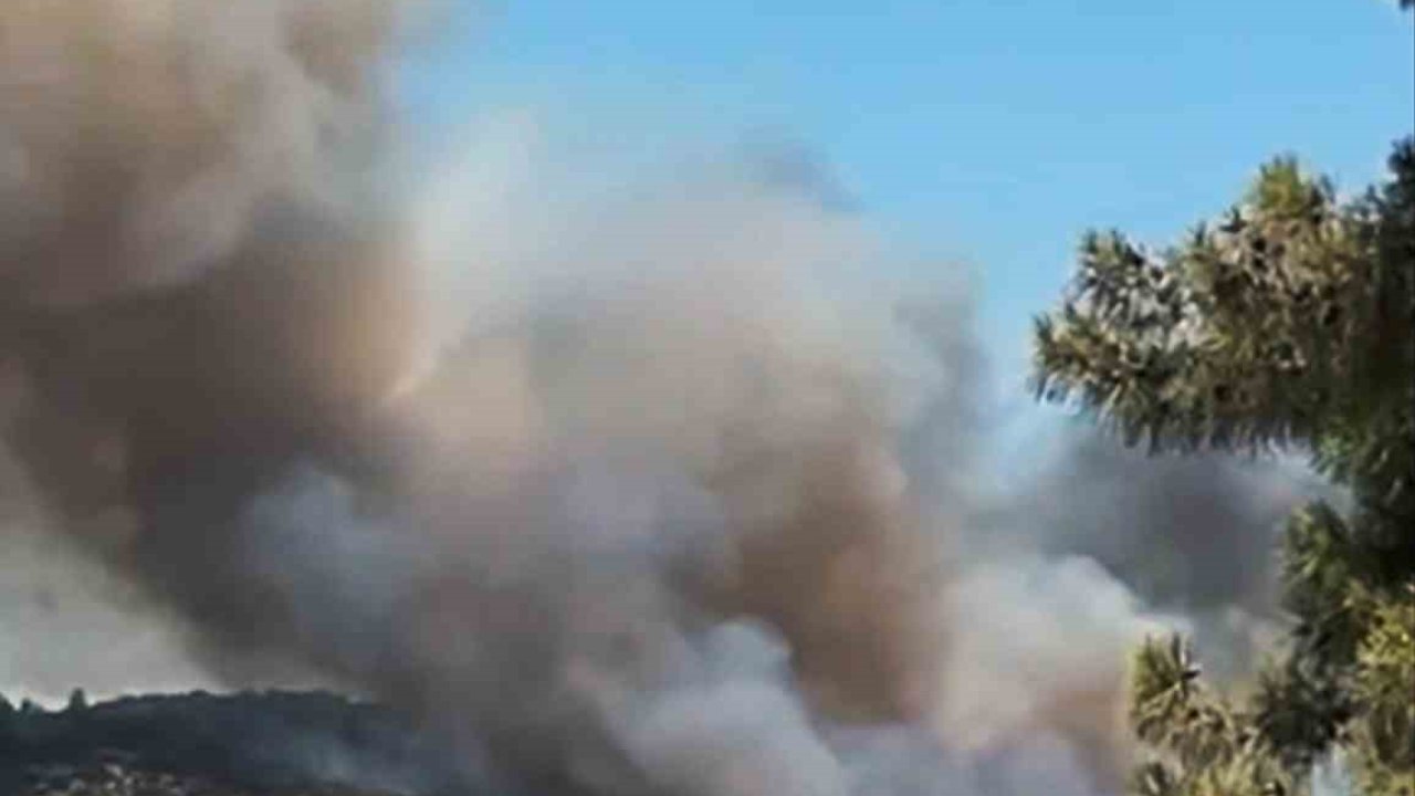 Milas’ta orman yangını