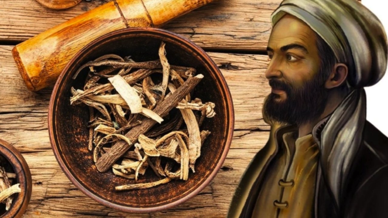İbn-i Sina'nın Günümüze Mirası: Kendi Kendine Yetişiyor ve Akciğerleri Temizliyor