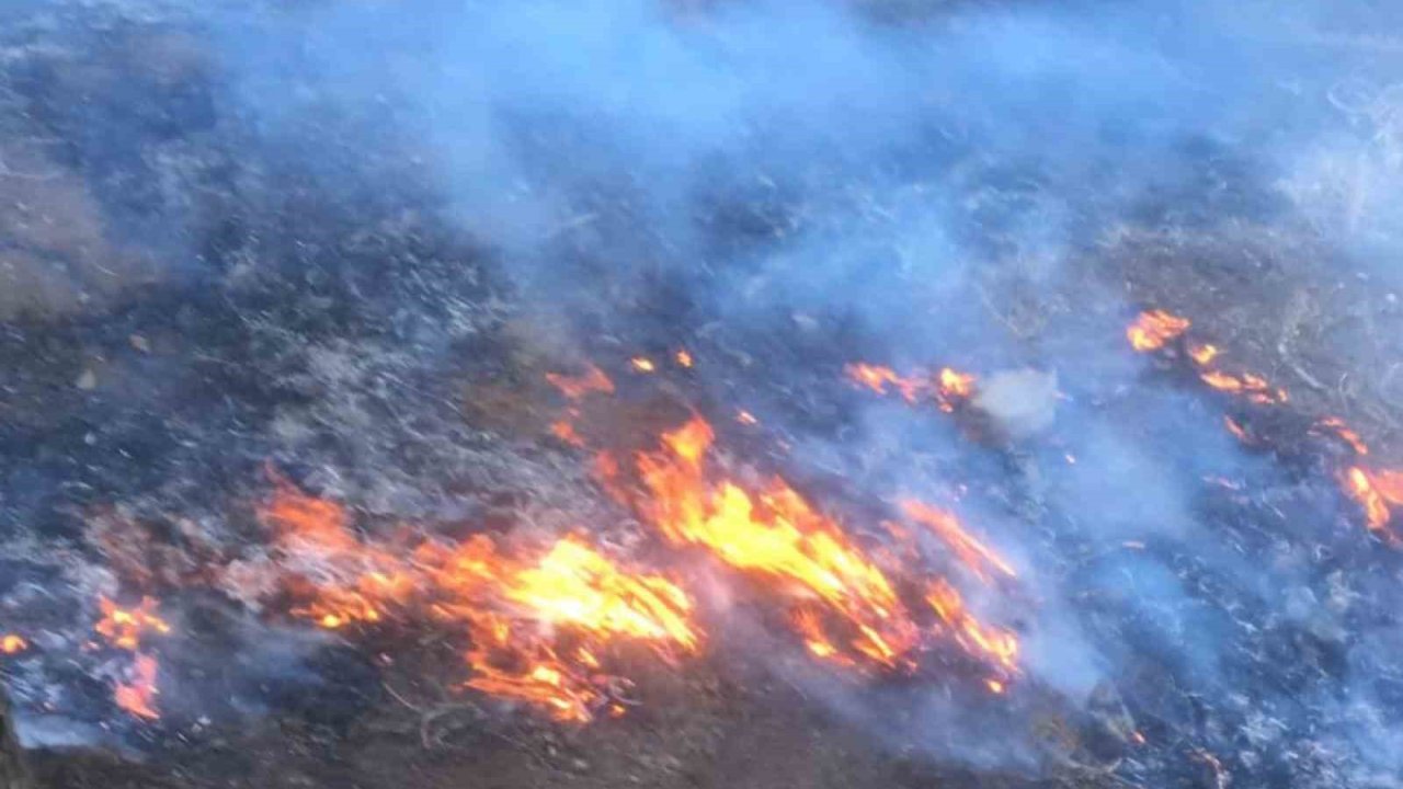 Gaziantep’te yine İslahiye yine orman yangını