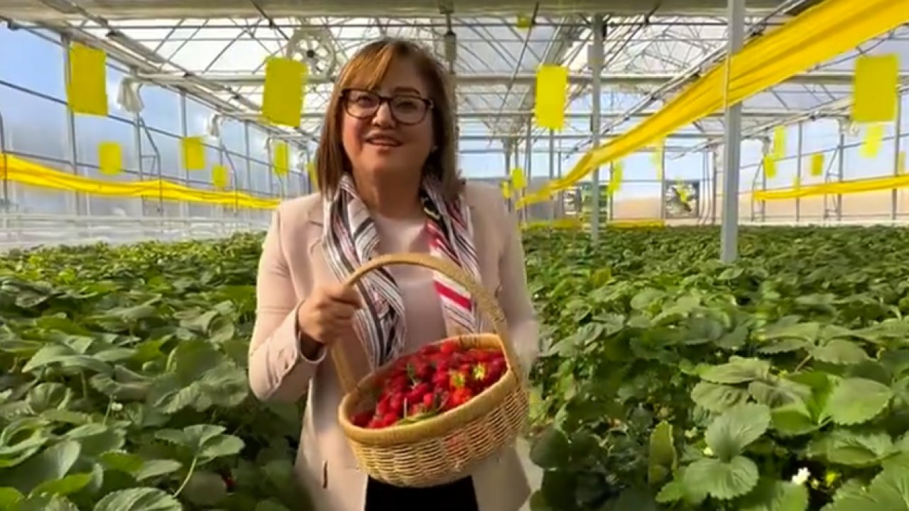 Fatma Şahin'den EMEKLİLERE MÜJDE! 'BEDAVA OLACAK'