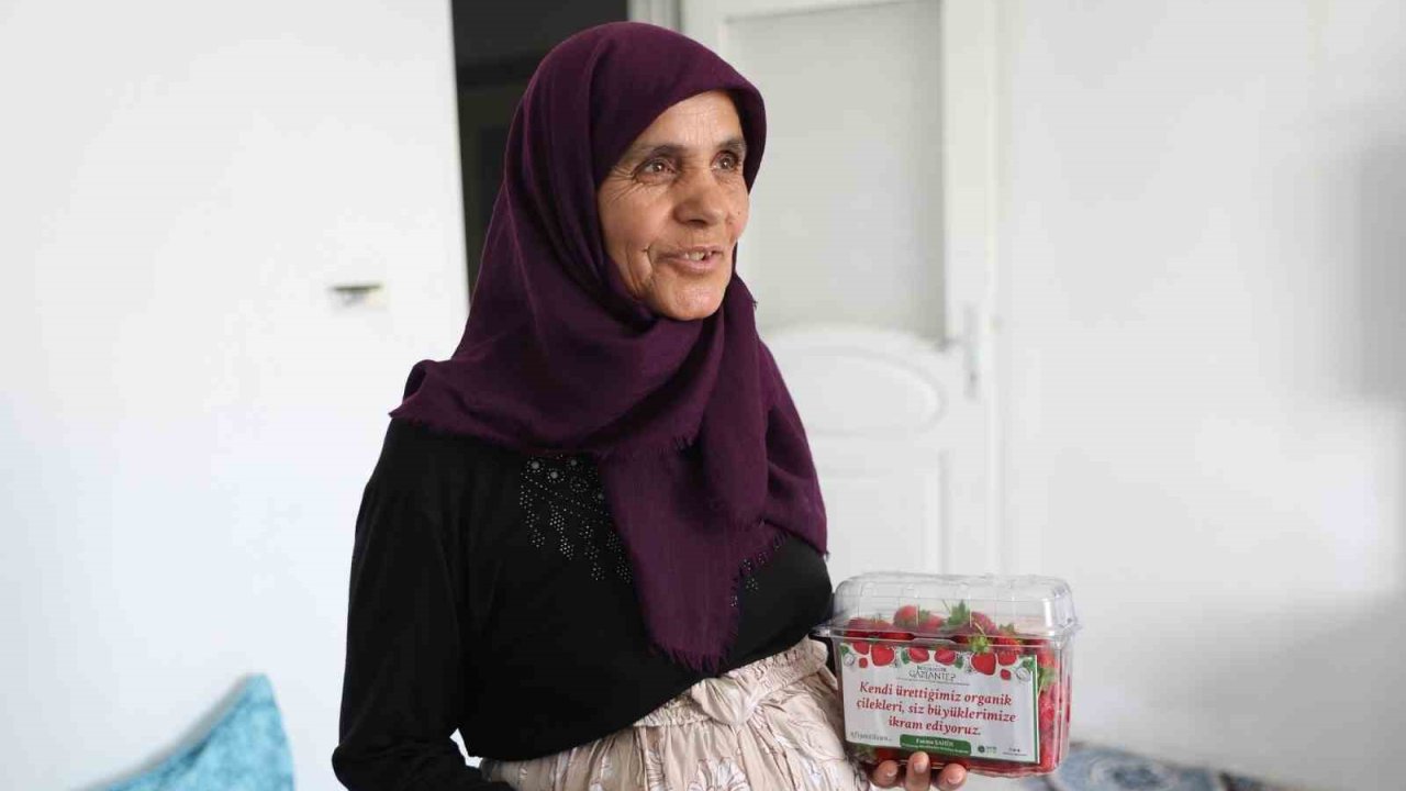 Gaziantep'te 65 Yaş Üstü Vatandaşlara BEDAVA DAĞITILIYOR!