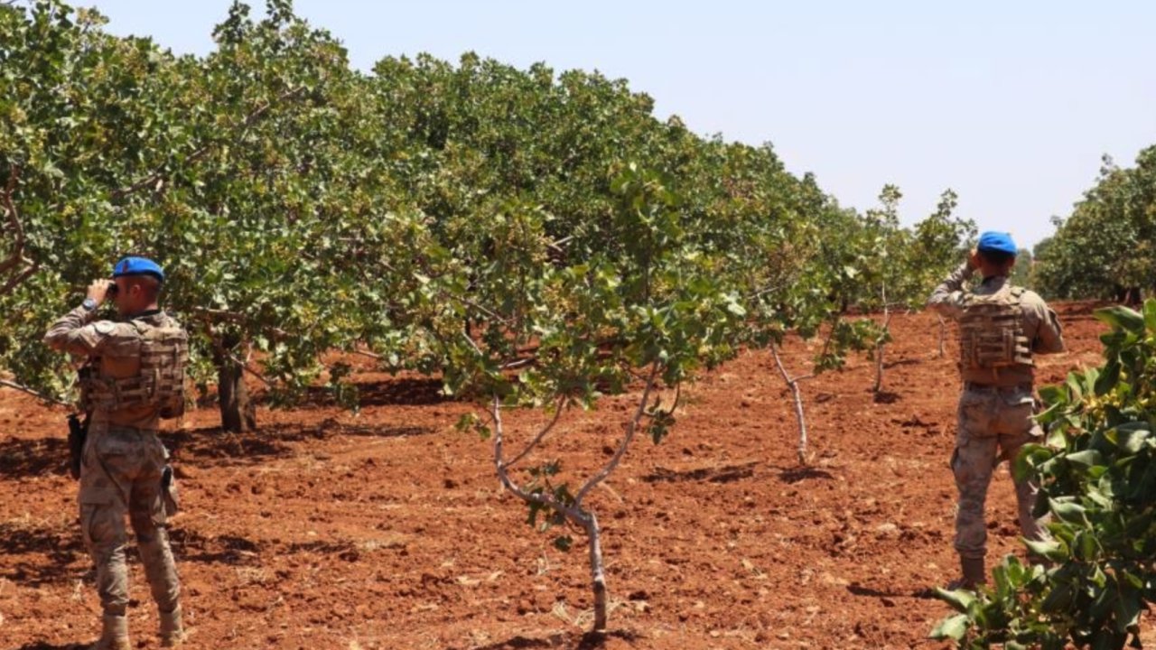 Gaziantep'te Antep Fıstığı Nöbeti Başladı