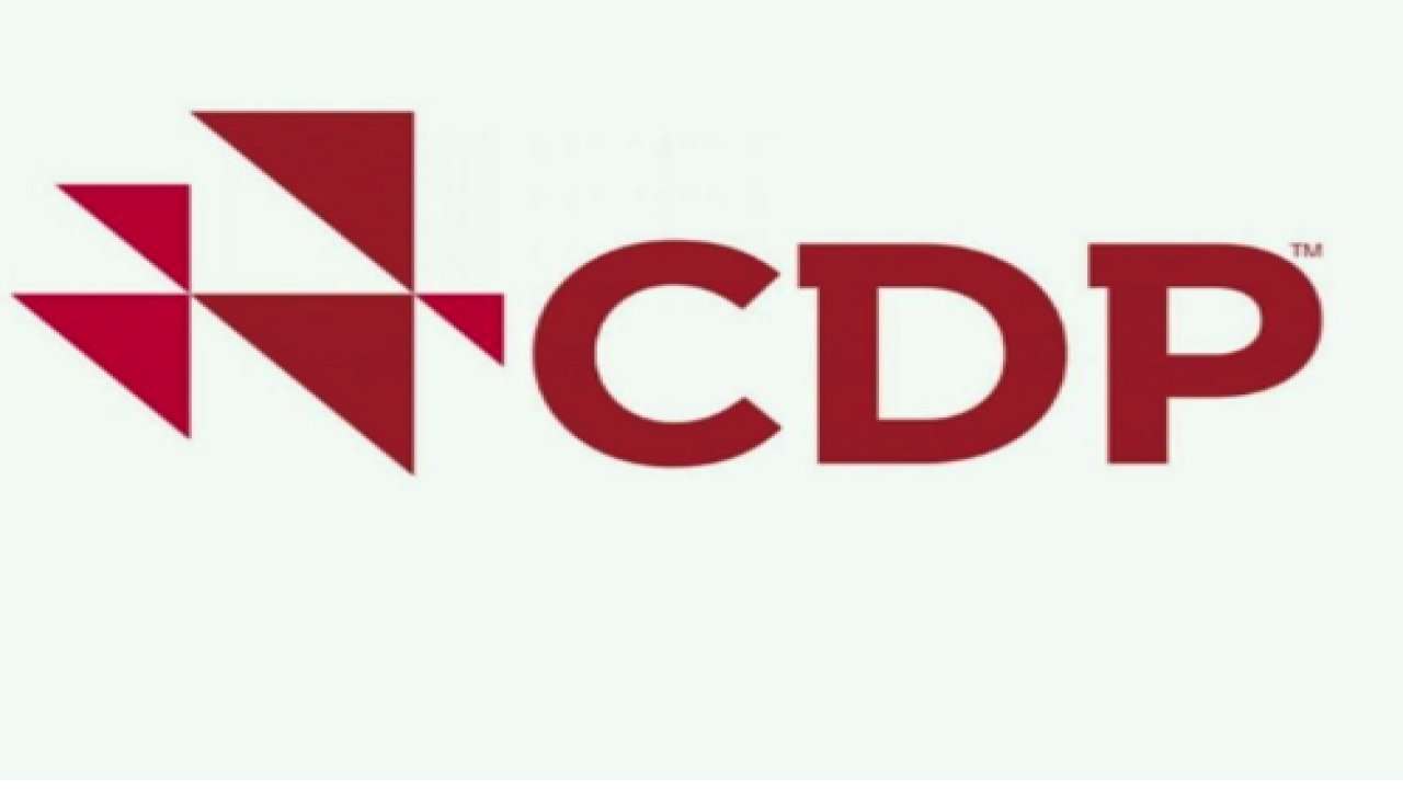 CDP Raporu Nedir, Nasıl Alınır?
