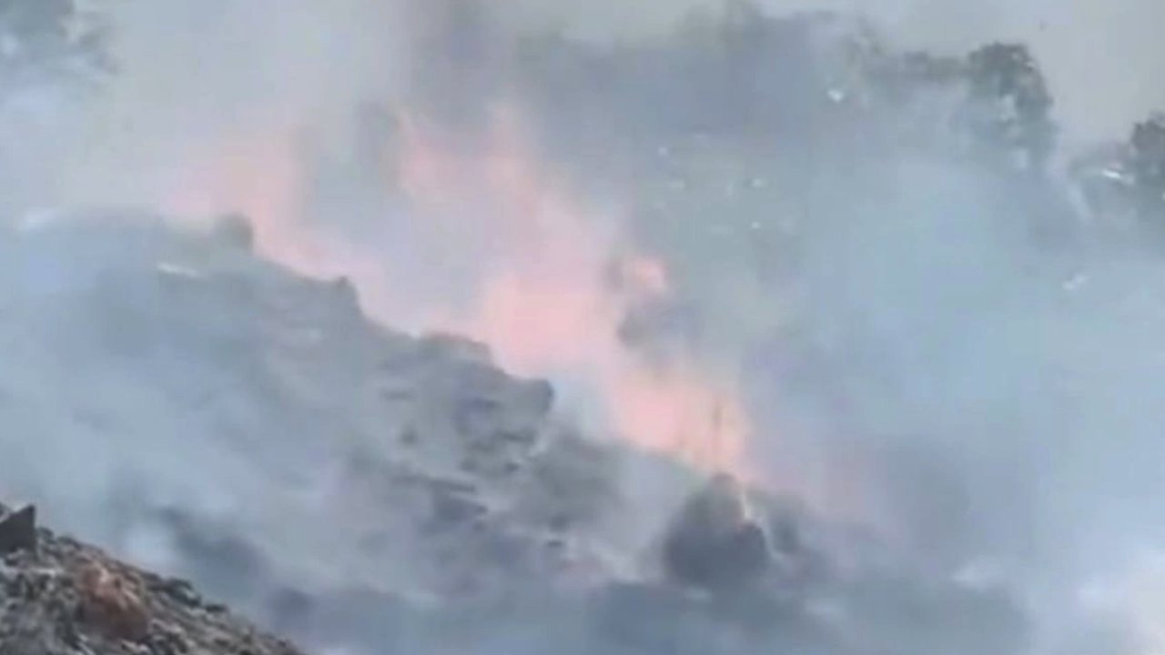 Gaziantep'te KORKUTAN YANGIN! Çok sayıda FISTIK AĞACI yok oldu