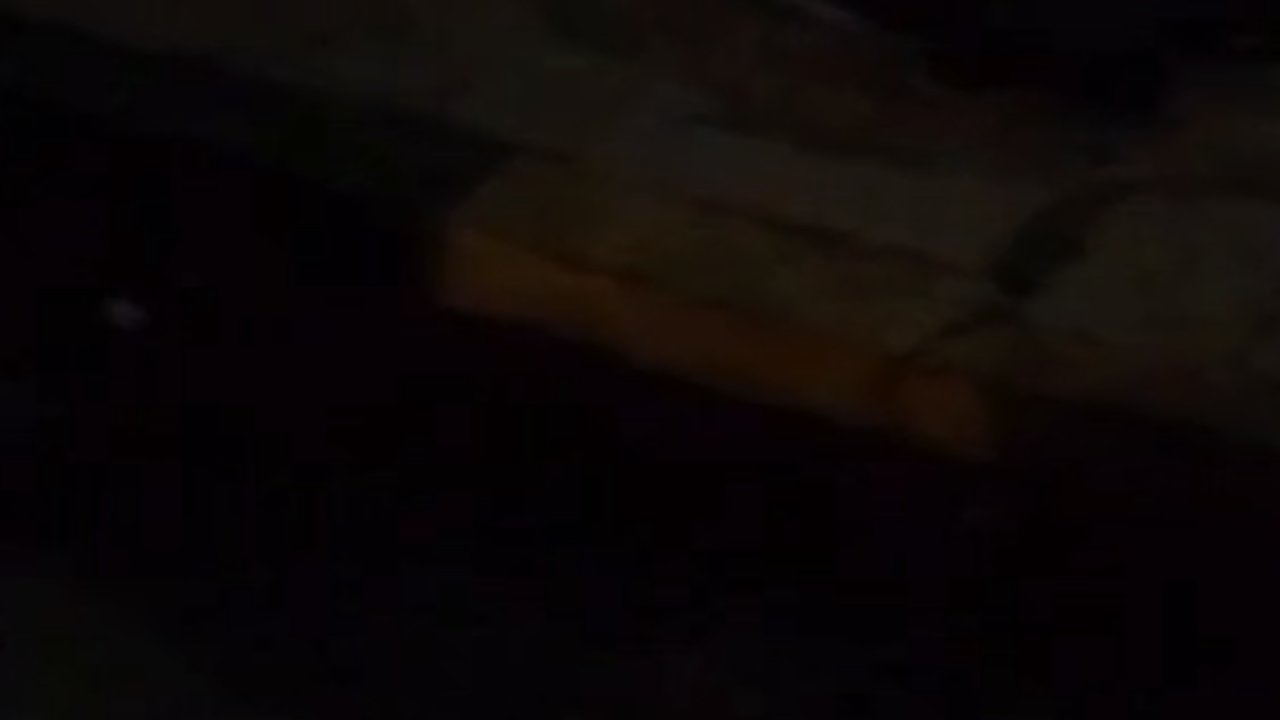 Gaziantep’te Devlet Hastanesi'nin Etrafını FARELER BASTI!