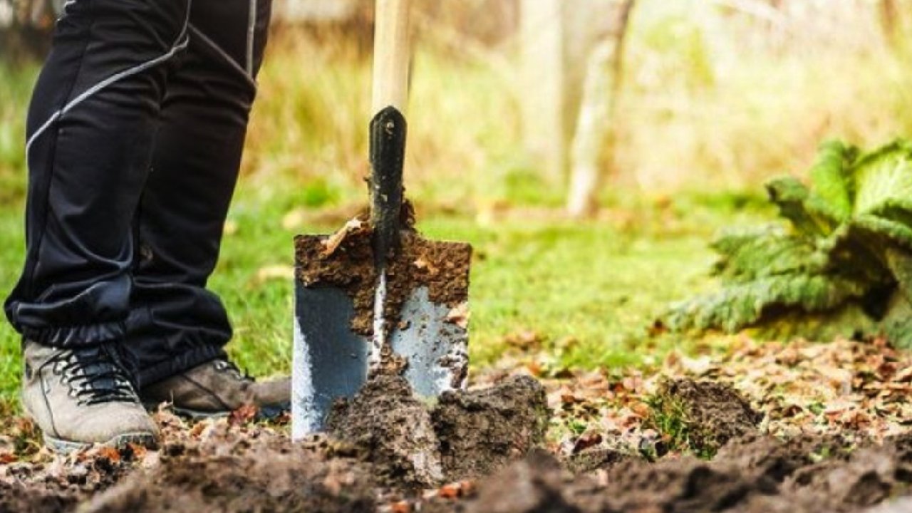 Hamur İşlerinden Bahçeciliğe Kabartma Tozu Mucizesi!