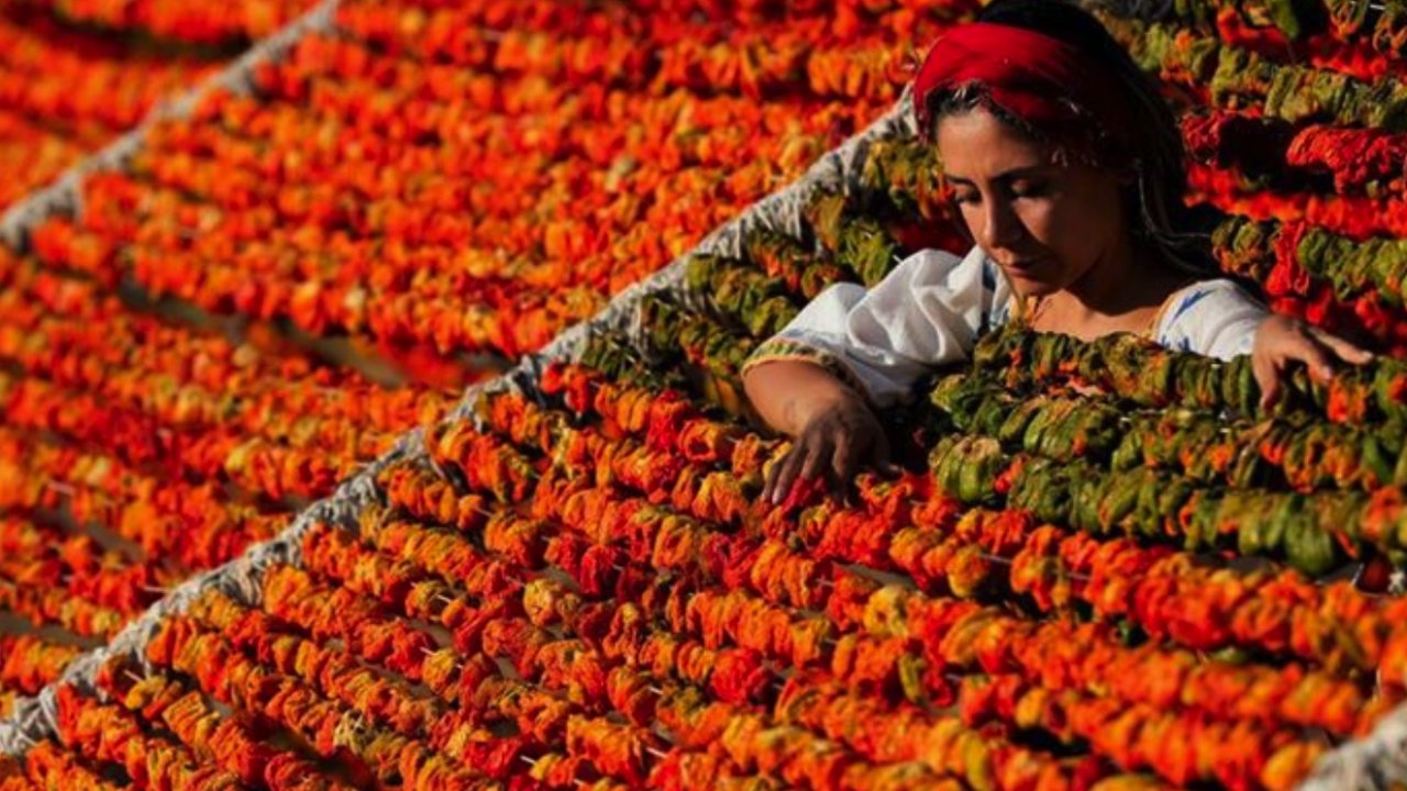Gastronomi kenti Gaziantep'in kurutmalıkları kavurucu sıcakta lezzetine kavuşuyor
