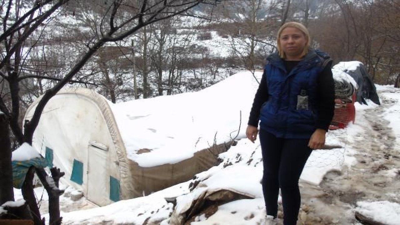 İslahiye'de karın ağırlığına dayanmayan mantar serası çöktü