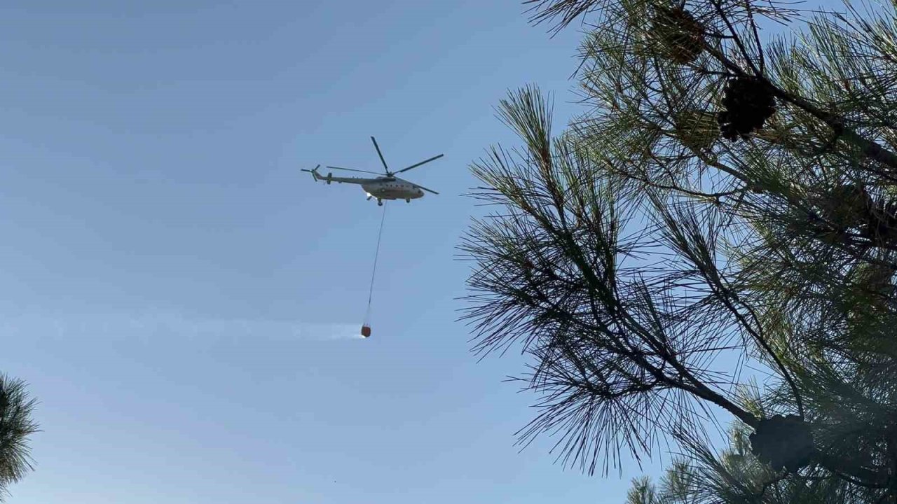 Gaziantep’teki Dülükbaba Orman Yangını Kontrol Altına Alındı! BİNLERCE AĞAÇ YOK OLDU