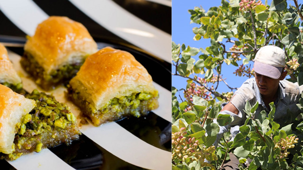 Gaziantep'te BOZ FISTIK REZALETİ DEVAM EDİYOR! ZAM ÇILGINI ANTEPLİ BAKLAVACILAR NE YAPACAK?...