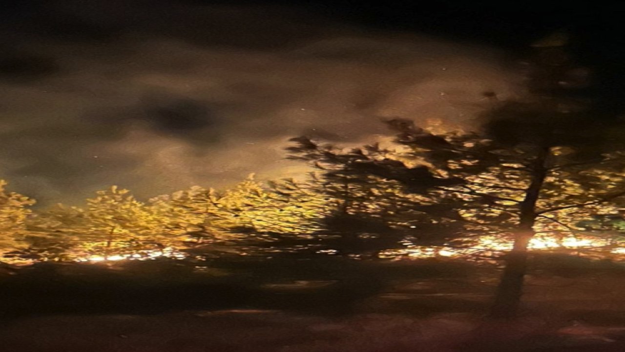 Gaziantep'teki korkutan orman yangını söndürüldü