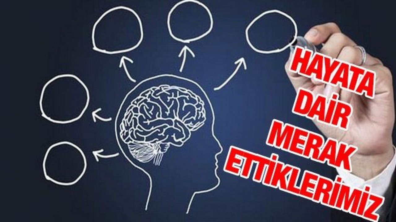 İşte İnsanlığın Merak Ettiği Soruların Yanıtları..