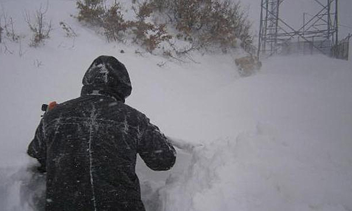 Türkiye'de 20 yıl sonra bir ilk! O şehir kar altında kaldı, kuşlar dondu, çatılar çöktü