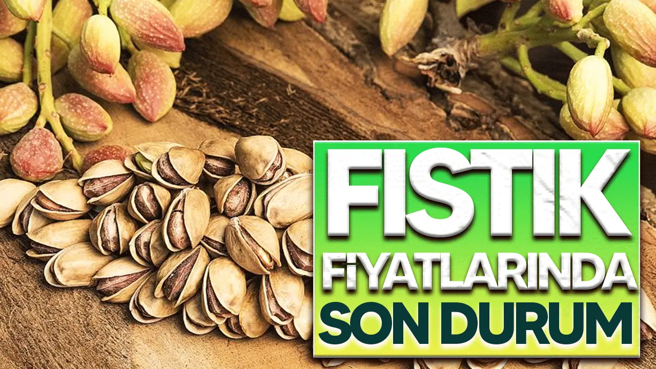 19 Aralık 2024 Gaziantep FISTIK FİYATLARI: Gaziantep'te fıstık bugün ne kadar?