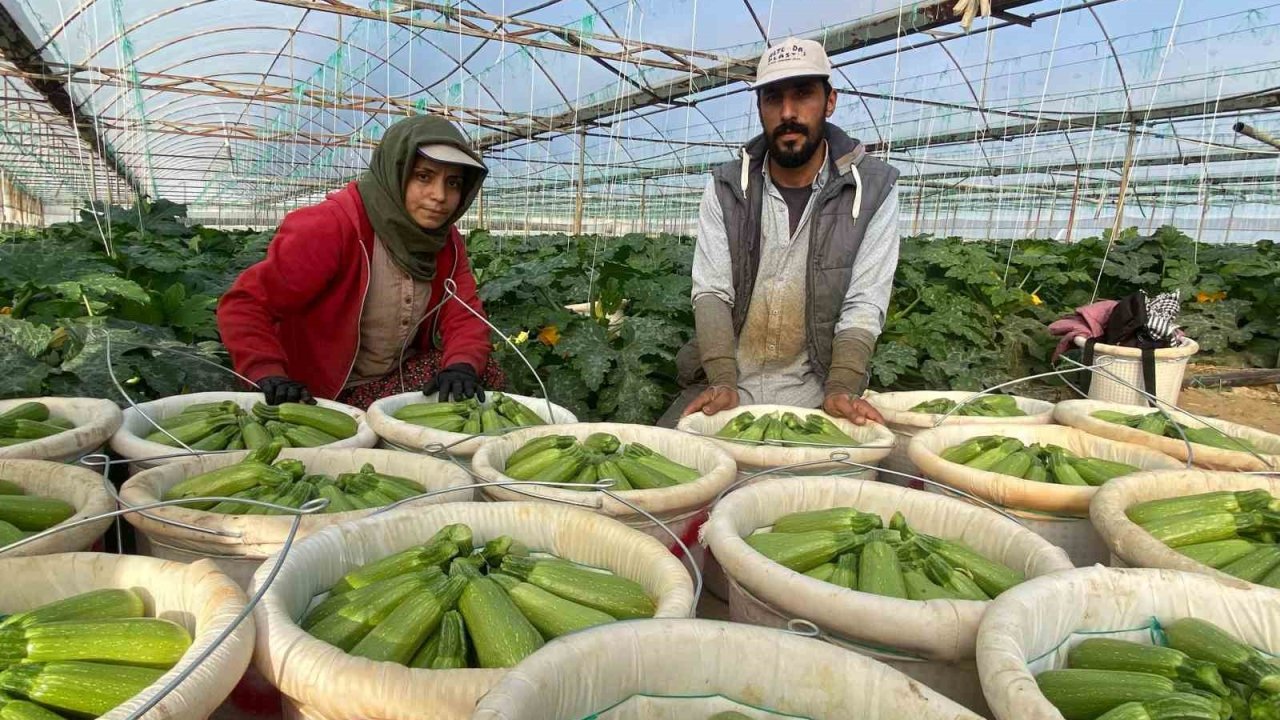 Suriye’den kaçıp Türkiye’de evlenen çift: “Esad’ın yaptığını bize gavur yapmadı”