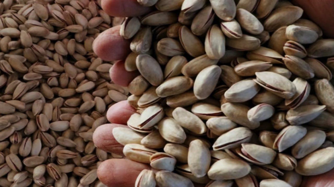 Antep Fıstığı Zehir Saçıyor! İtalya ve Almanya'dan sonra Bulgaristan da  Antep fıstıklarını iade etti.