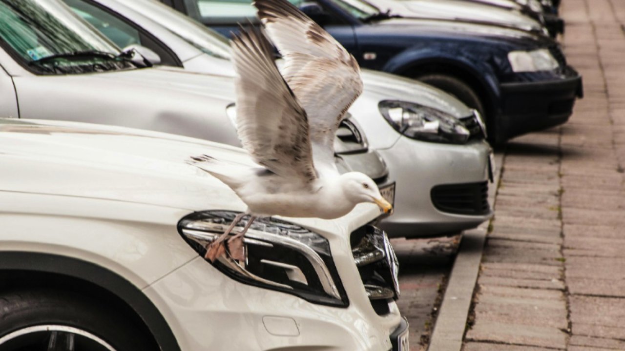 MTV Nasıl Hesaplanır? Ne Zaman Ödenir?