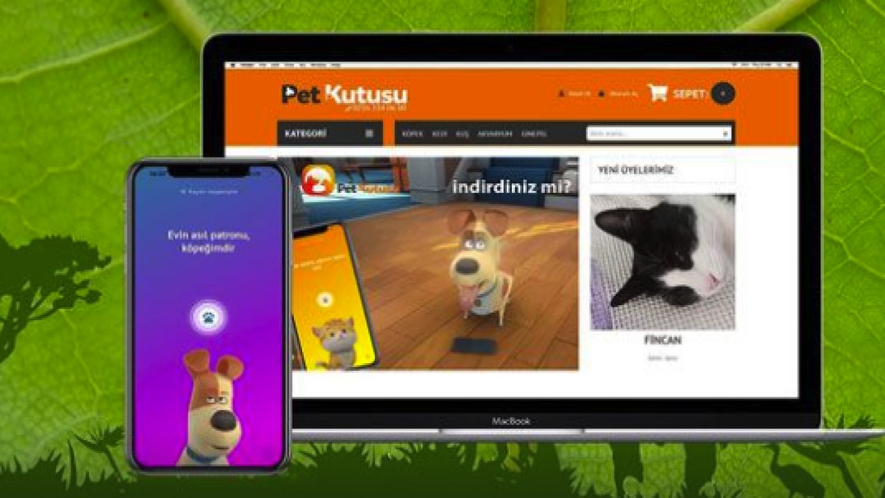 Ödül Maması: Köpek Eğitiminin Vazgeçilmezi