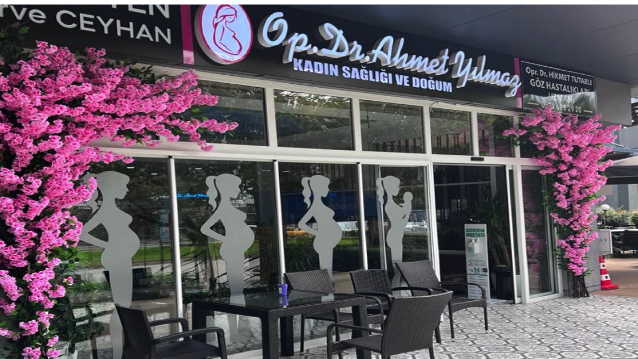 Yapay Çiçekler, Yapay Ağaçlar ve Dikey Bahçeler: Modern Dekorasyonun Doğal Alternatifleri