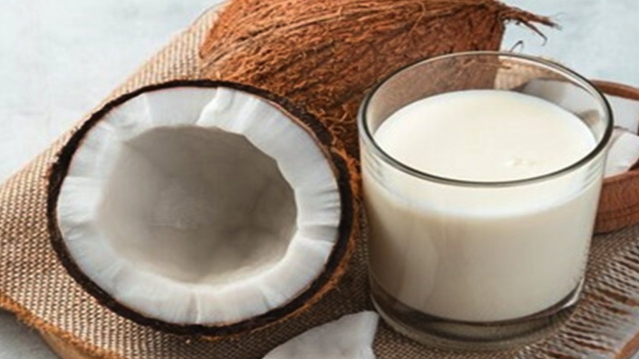 Hindistan Cevizi Sütü Nedir? Faydaları Nelerdir?