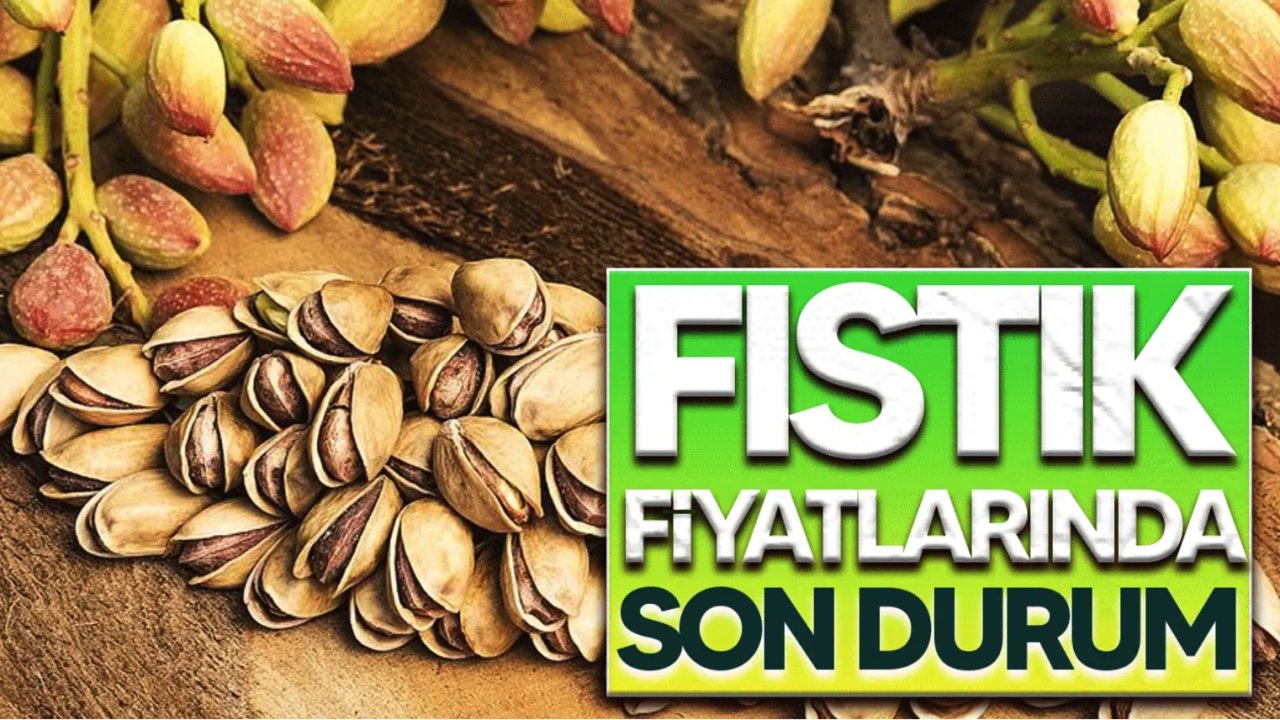 Gaziantep'te fıstık bugün ne kadar oldu? 22 Ocak 2025 Gaziantep FISTIK FİYATLARI