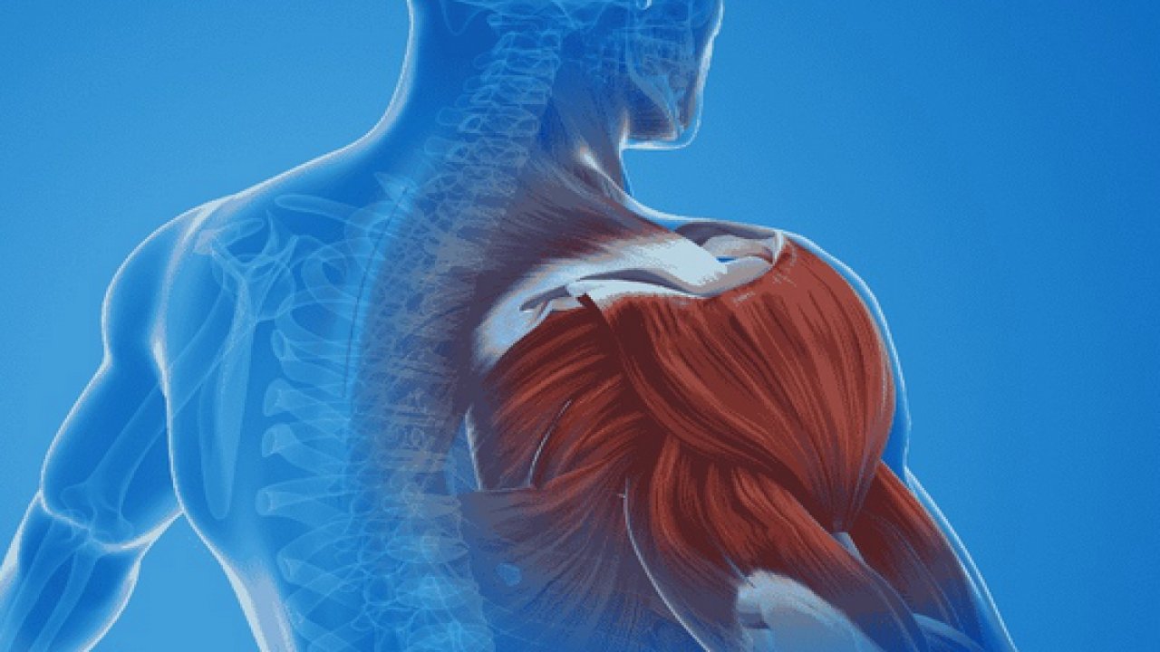 Donuk Omuz: Sebepleri ve Tedavi Yöntemleri