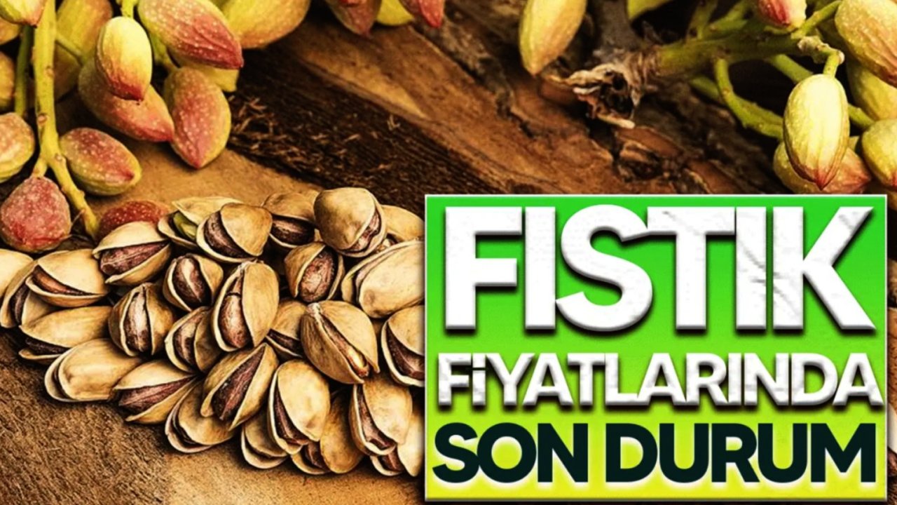 31 Ocak 2025 Gaziantep FISTIK FİYATLARI: Gaziantep'te fıstık bugün ne kadar?