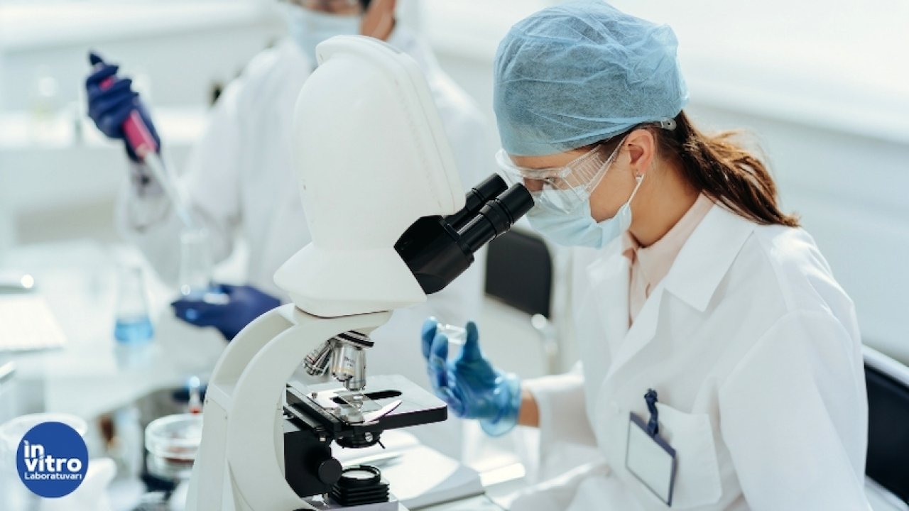 Gıda İntolerans Testi ile Sağlığınızı Keşfedin: İnvitro Laboratuvar’la Yeni Bir Başlangıç