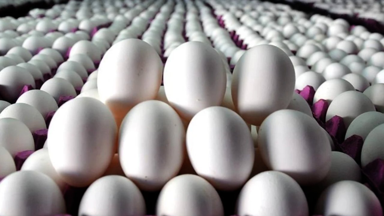 Yumurta Fiyatlarına Zam Geldi! Türkiye'nin İki Büyük Üretim Merkezinde Fiyatlar Yükseldi