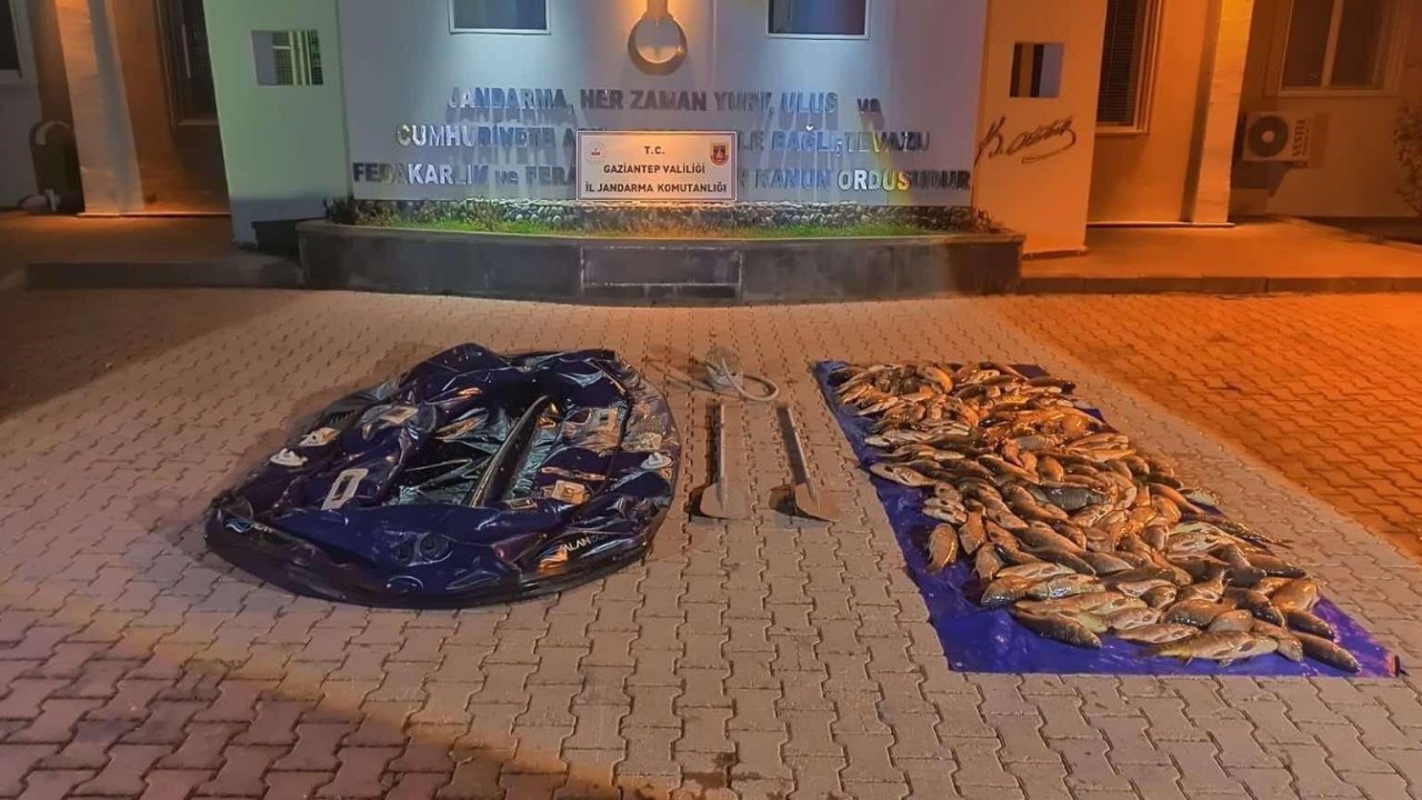 Gaziantep'te ağ ile av yasağına uymayan şahıs jandarmanın ağına takıldı