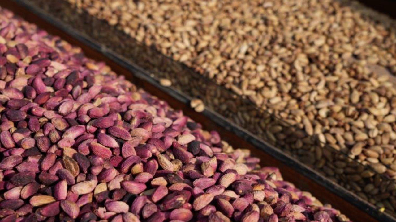 Antep Fıstığı Fiyatları Resmen Dip Yaptı!