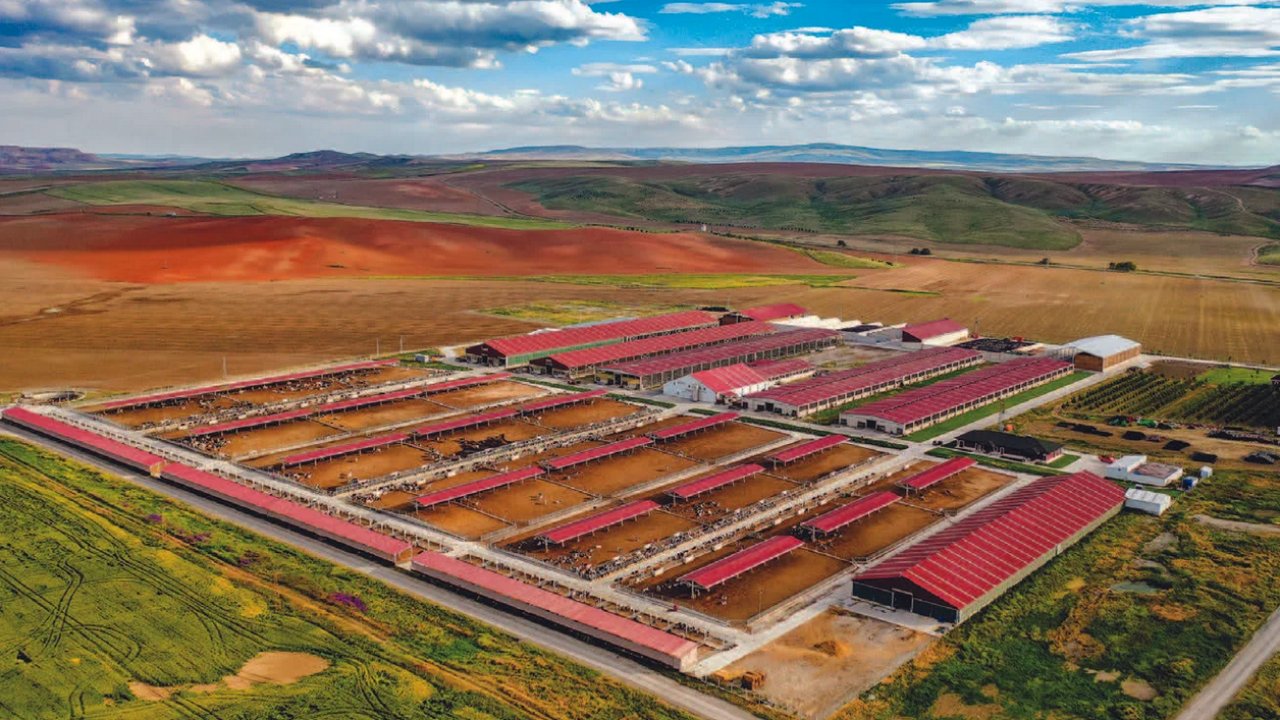 Türkiye'nin Köklü Tarım Kooperatifi İflas Etti: Sektörde Büyük Yankı Uyandıran Olay