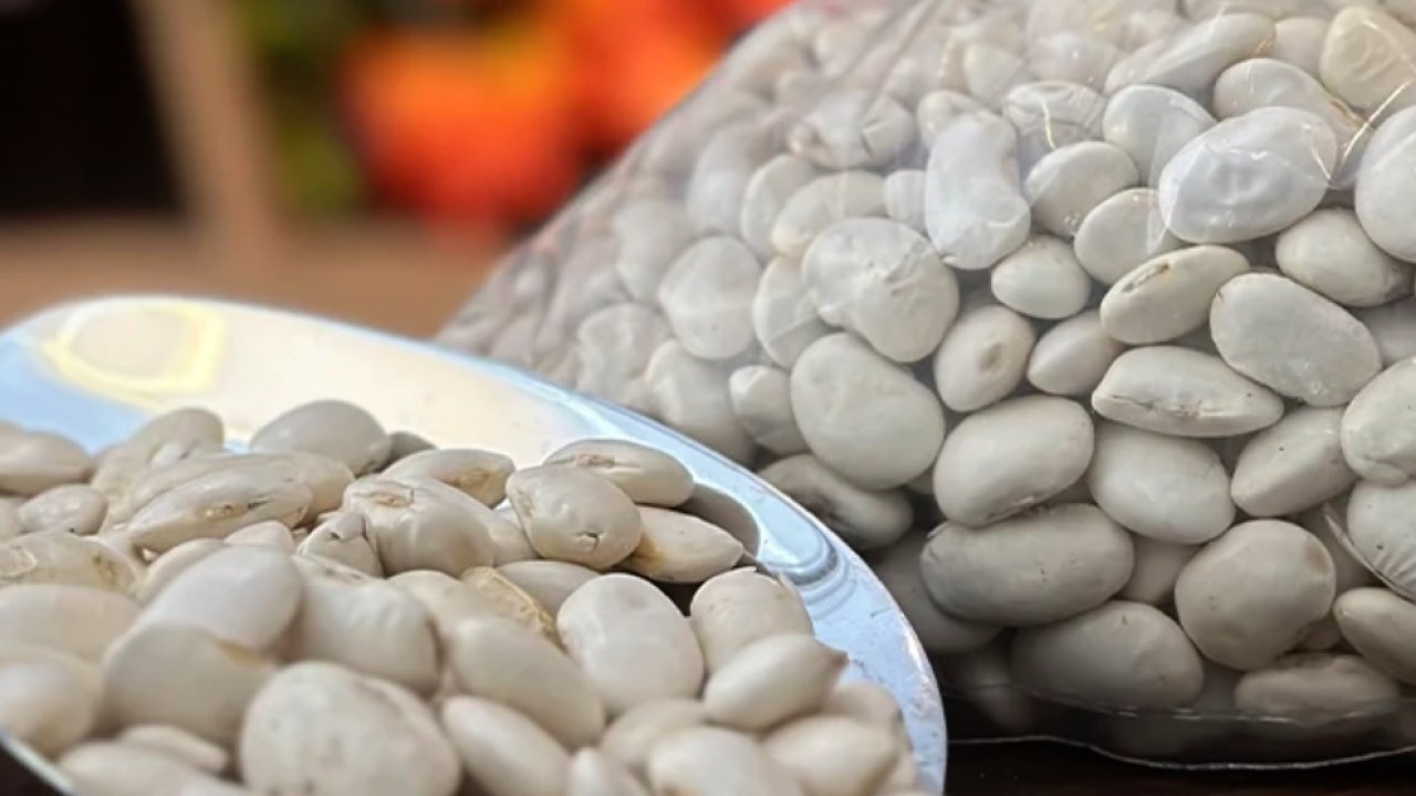 Ispir Fasulyesi ile Besleyici Salatalar