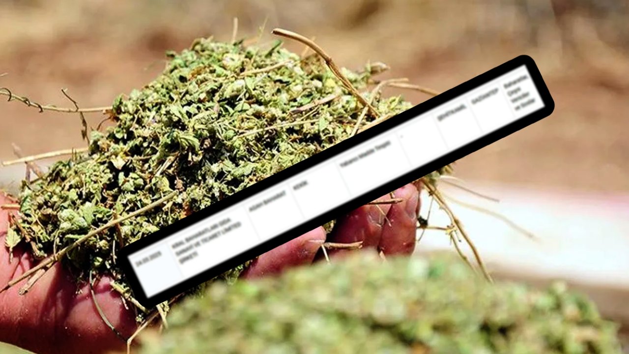 Gaziantep'in ünlü baharat markası ifşalandı! Kekik diye bakın ne yedirmişler...