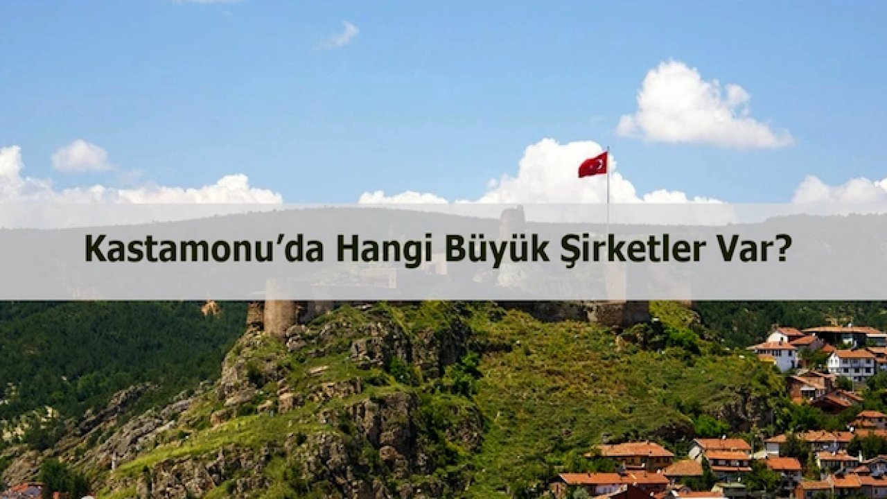 Kastamonu’da hangi büyük şirketler var?