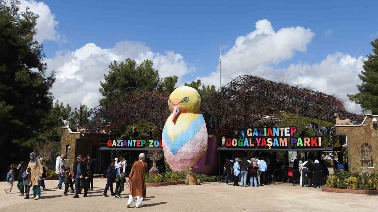 İstanbul, Kahramanmaraş ve Ankara Gaziantep'e Akın Etti!